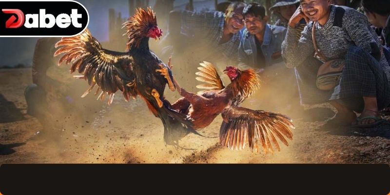 Tiêu chí quan trọng đảm bảo tỷ lệ thắng cao