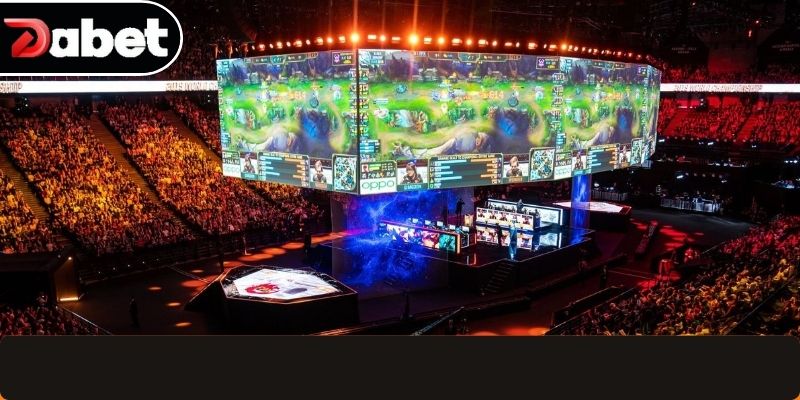 Bí quyết chinh phục phần thưởng cho đội tuyển